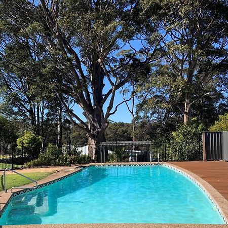 The Tree Motel Narooma Exteriör bild