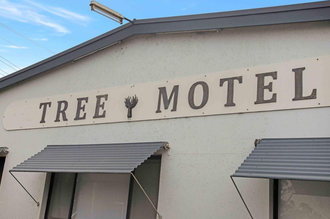 The Tree Motel Narooma Exteriör bild